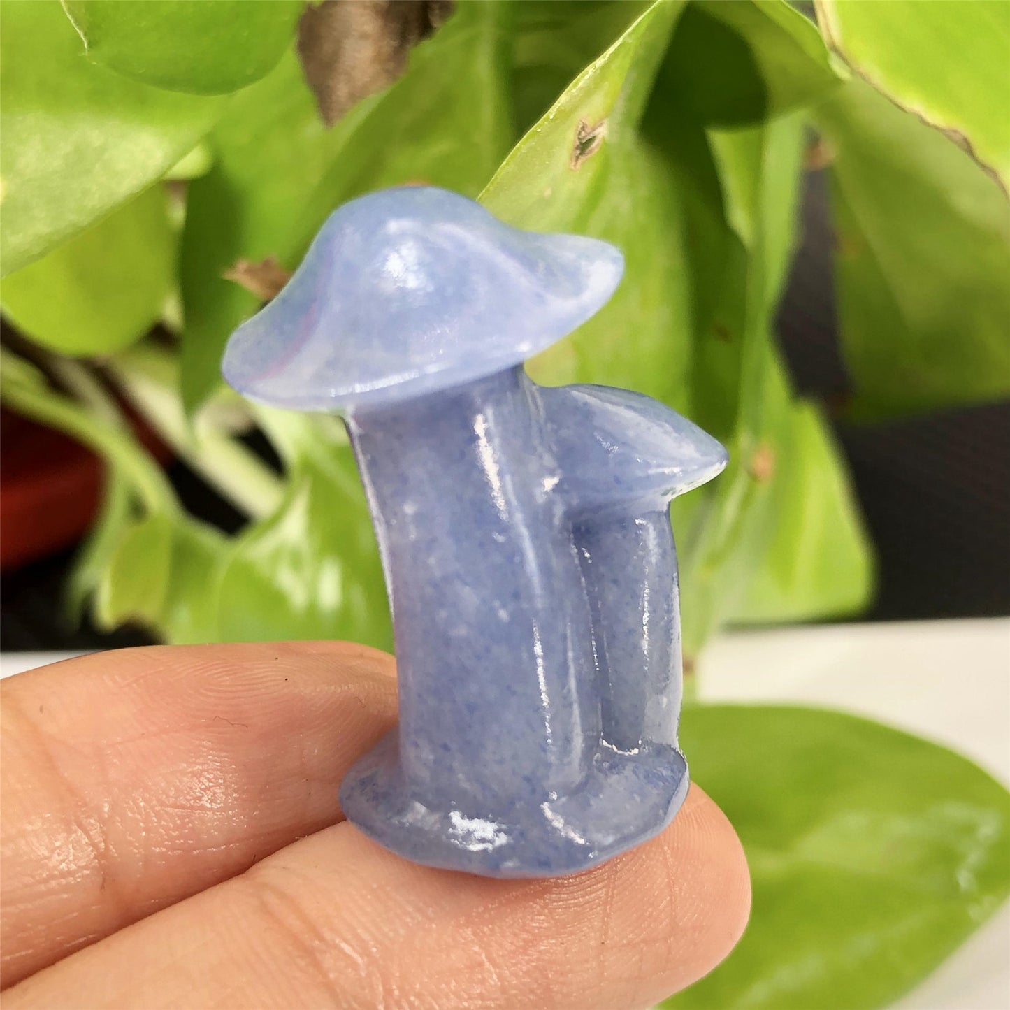 Natural Crystal Carved Blue Aventurine Mushroom Ornament