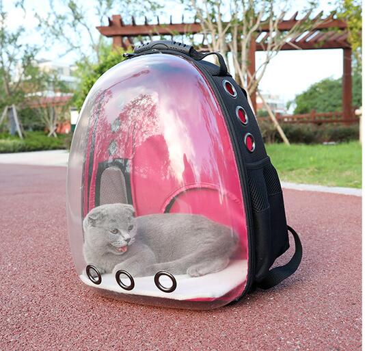 Transparent Backpack Pet Backpack