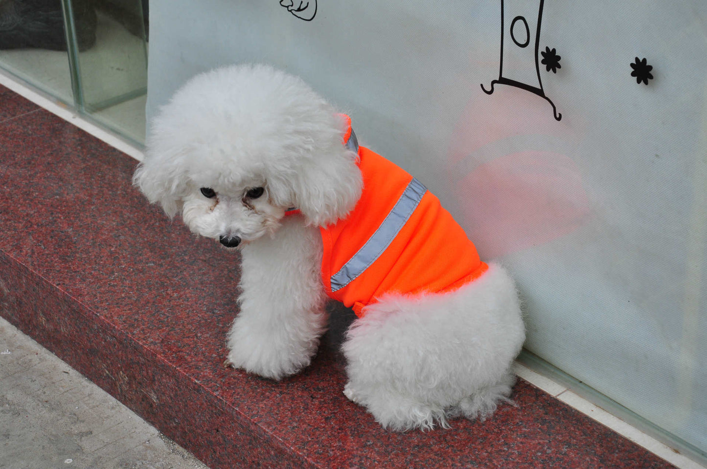 Summer Pet Clothing Dog Reflective Clothing Work Dog Safety Clothing