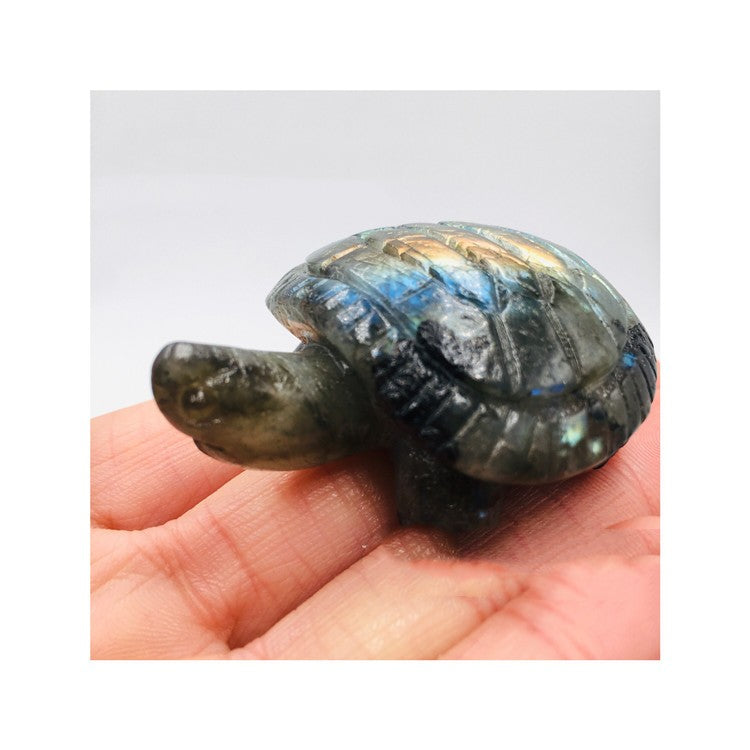 Labradorite Moonstone Carved Longevity Turtle Ornaments