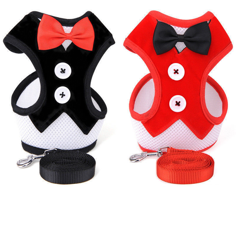 Bow evening dress pet strap