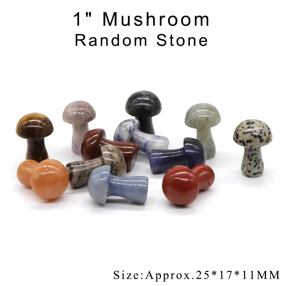 12pc/ Set Mix Natural Random Crystals and Stones Animals