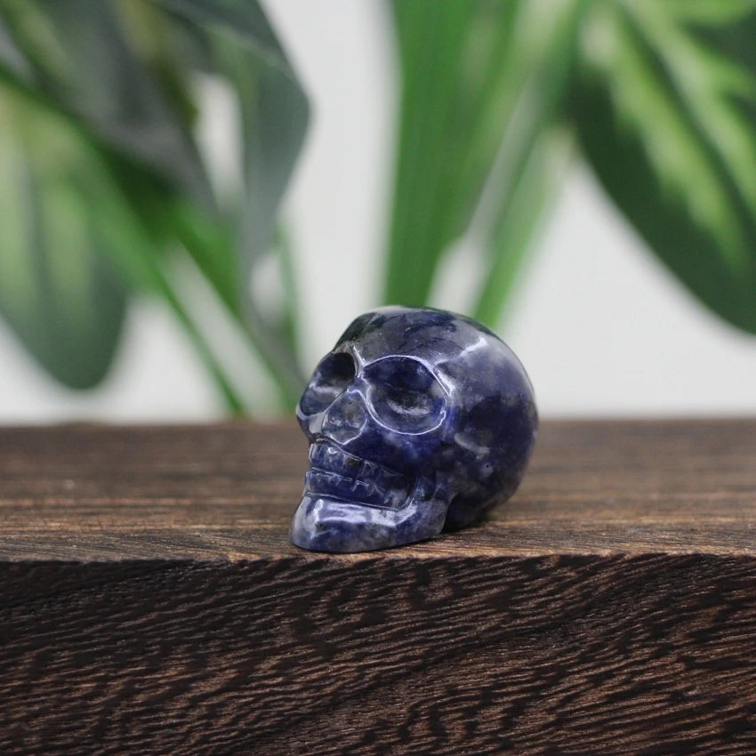 1.2 Inch Skull Statues Healing Crystal Head Cranium Figurine Halloween Decoration,Carved Gemstone Home/Office/Room Decor Gifts