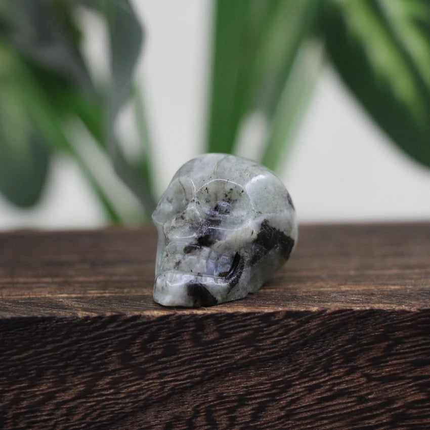 1.2 Inch Skull Statues Healing Crystal Head Cranium Figurine Halloween Decoration,Carved Gemstone Home/Office/Room Decor Gifts