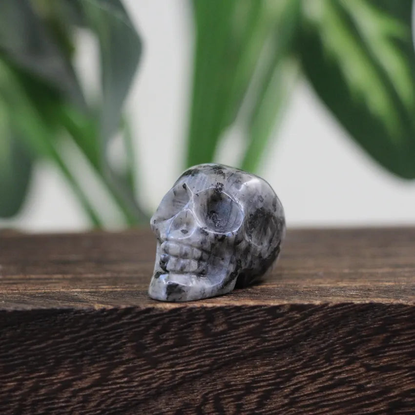 1.2 Inch Skull Statues Healing Crystal Head Cranium Figurine Halloween Decoration,Carved Gemstone Home/Office/Room Decor Gifts