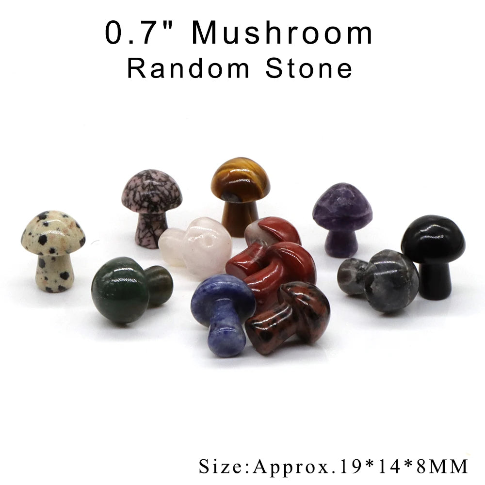 12pc/ Set Mix Natural Random Crystals and Stones Animals