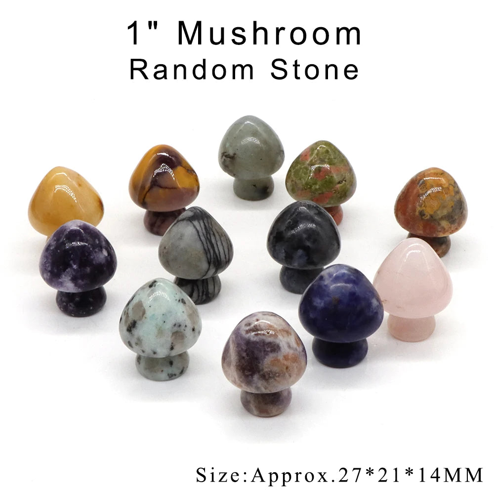 12pc/ Set Mix Natural Random Crystals and Stones Animals